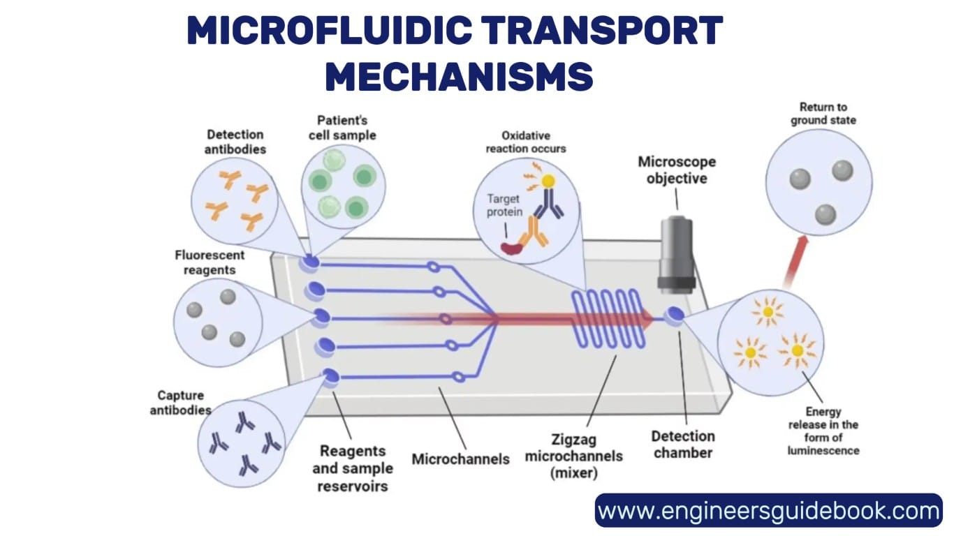 Microfluidics | a detailed overview of microfluidics | 1 Microfluidic transport mechanisms